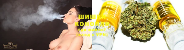 ешки Каменногорск