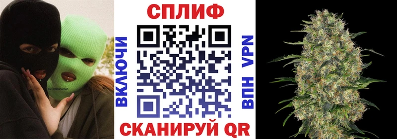 Купить  Могоча  Каннабис план 